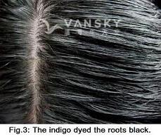 240808094738_Hair-Dyed with indigo-s.jpg